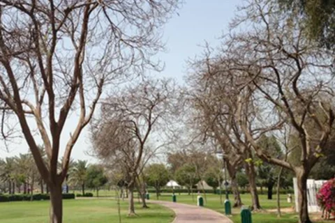 Al Safa Park