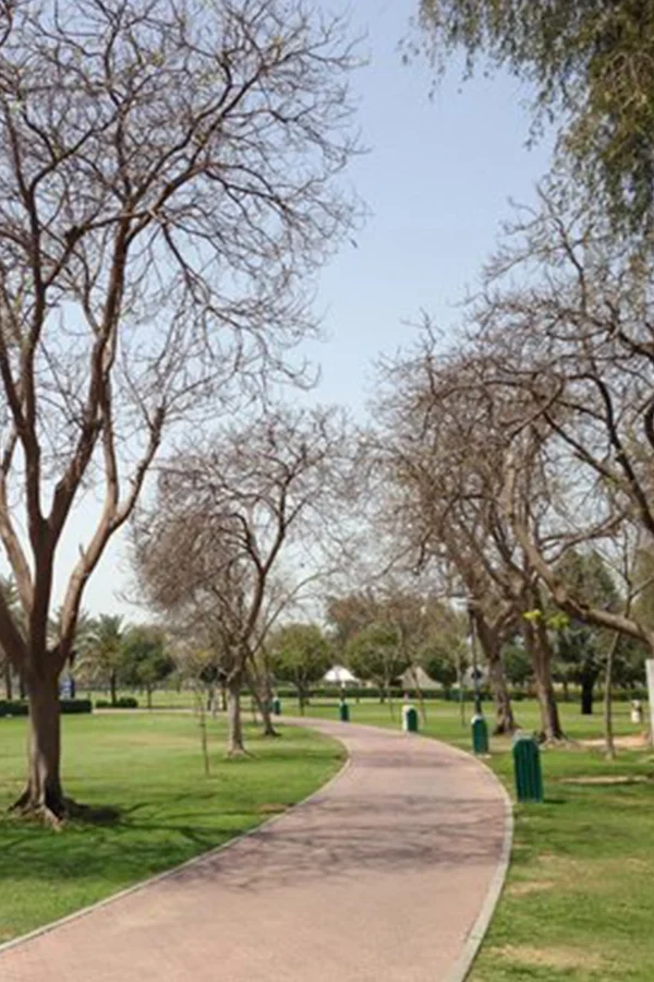 Al Safa Park