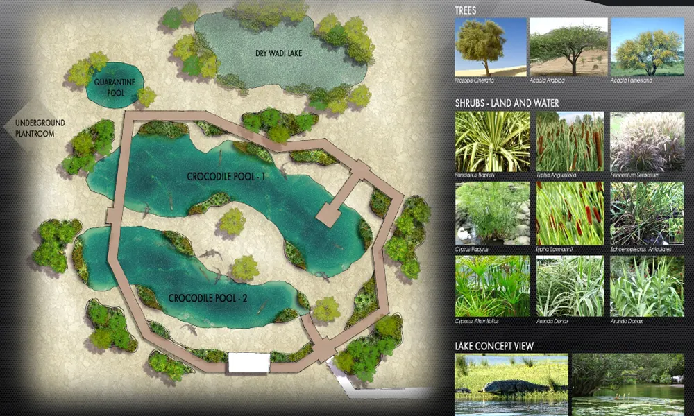 A1_presentation__071-DCC-Croc farm-R0-email