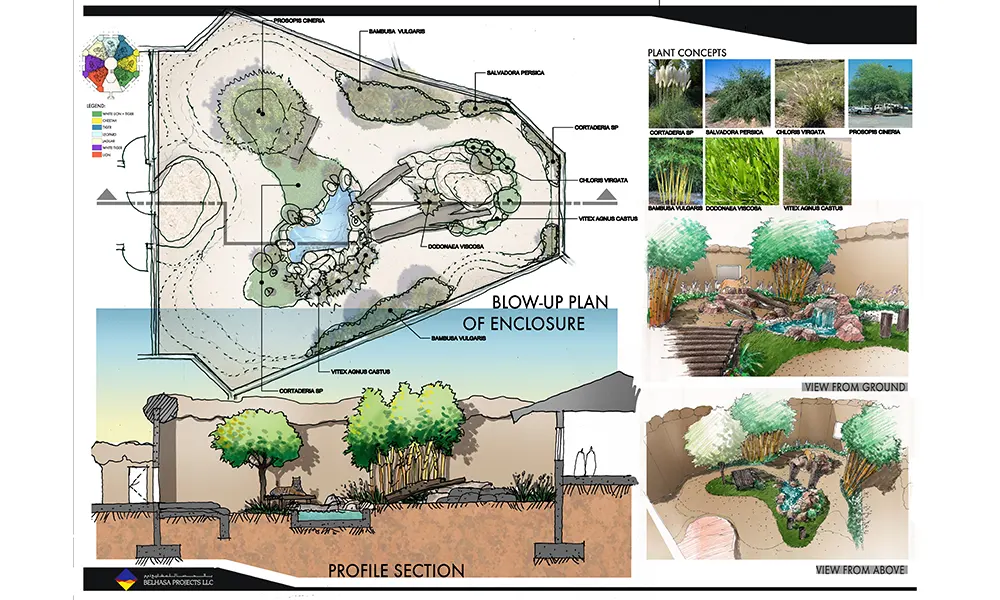 A1_presentation__Cat-Enclosure-Planting