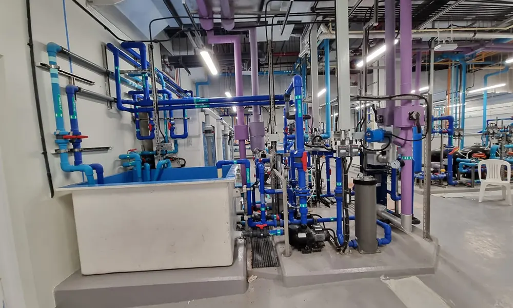 WhatsApp Image 2022-08-12 at 2.54.42 PM